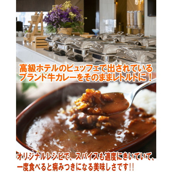 松阪牛・神戸牛カレー食べ比べセット【1人前 各200g】