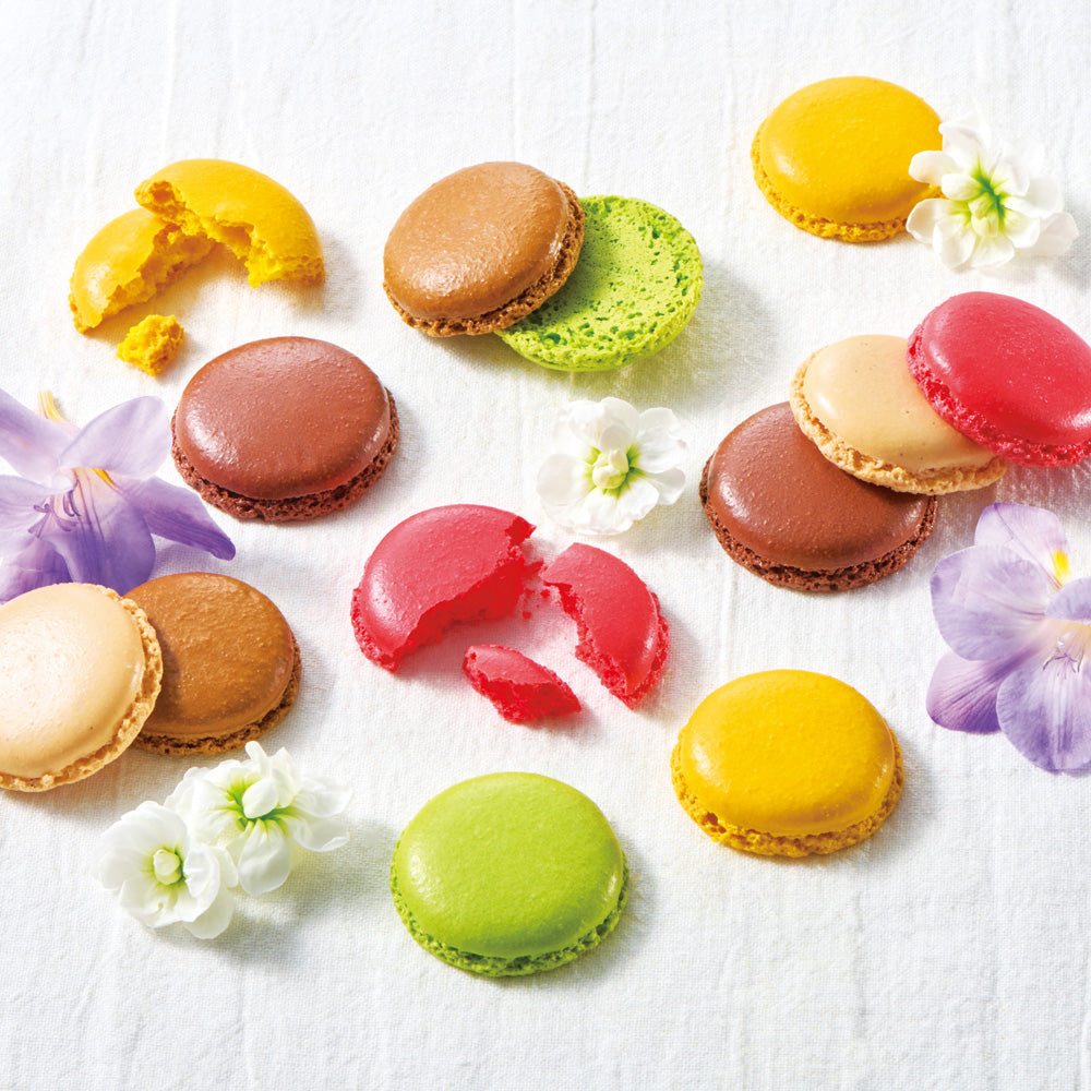 【ギフトカード】1802年パリ創業　ダロワイヨ　マカロンラスク 30枚