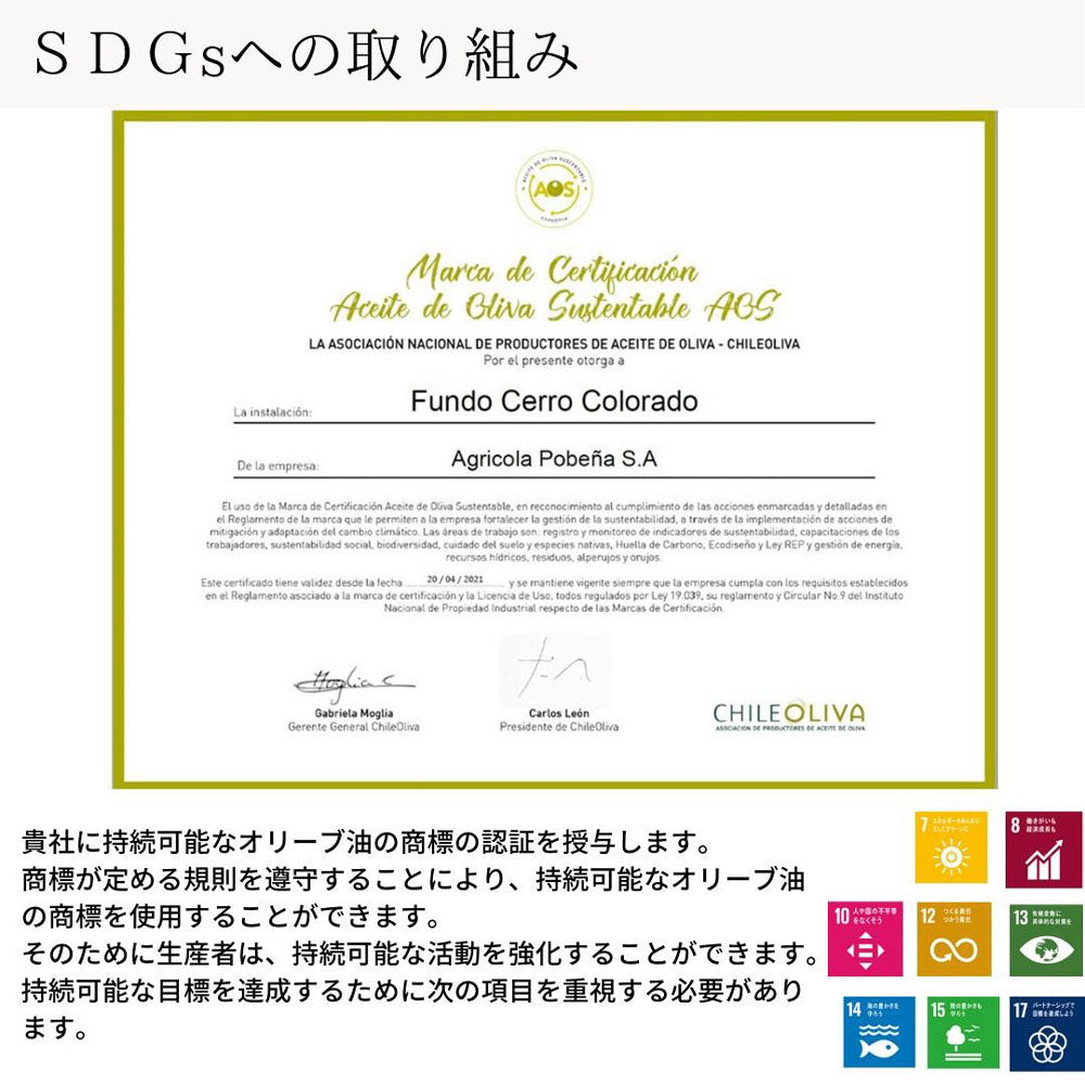 【ギフトカード】【受賞歴多数】ALONSO エクストラヴァージンオリーブオイル 1種(BLEND)1本