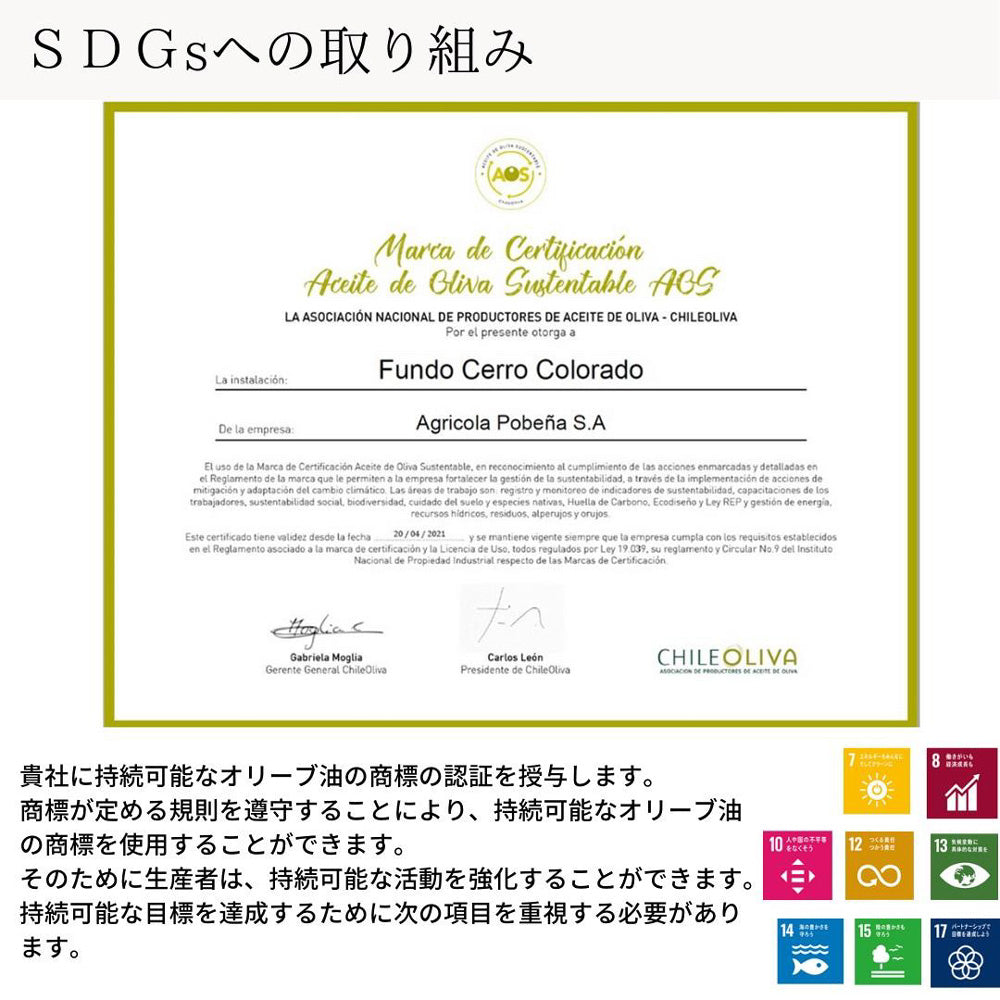 【ギフトカード】【受賞歴多数】ALONSO エクストラヴァージンオリーブオイル 3種(BLEND・CORATINA・PICUAL)各1本