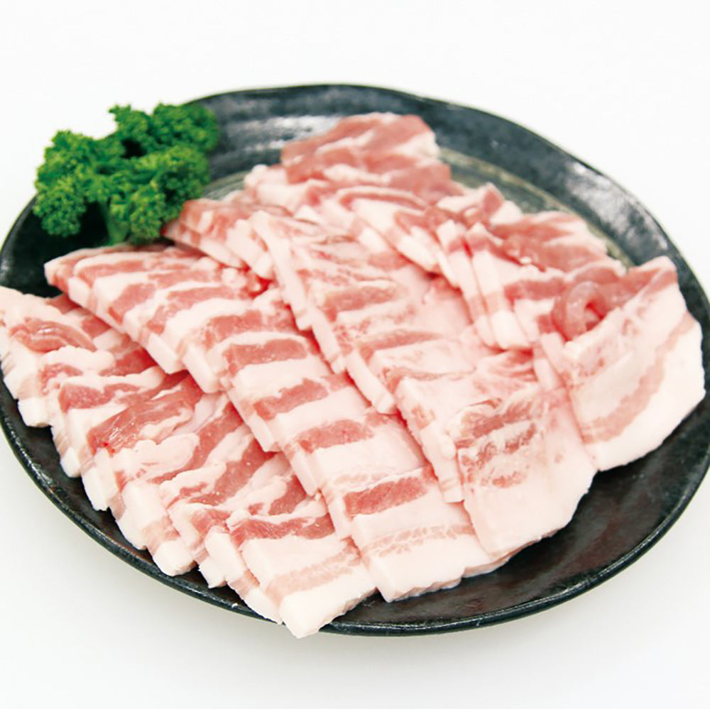 宮崎　SPF日南もち豚　バラ焼肉用　500g