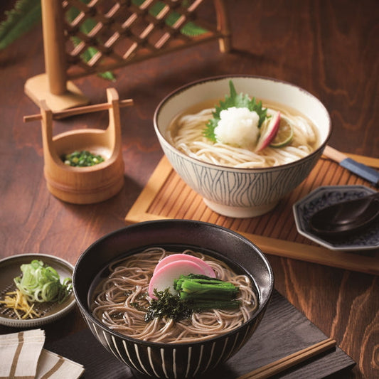 人力うどん 「職人の技」 うどん・そばセット(うどん麺8個・そば麺4個つゆ付)