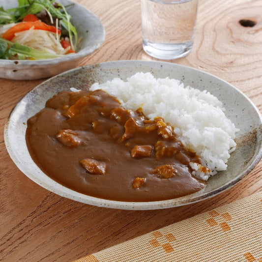 福岡 博多The伽哩ビーフ・チキンカレー10食セット