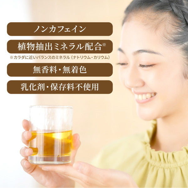 イズミック麦茶 ラベルレス 500ml【48本(2ケース)】