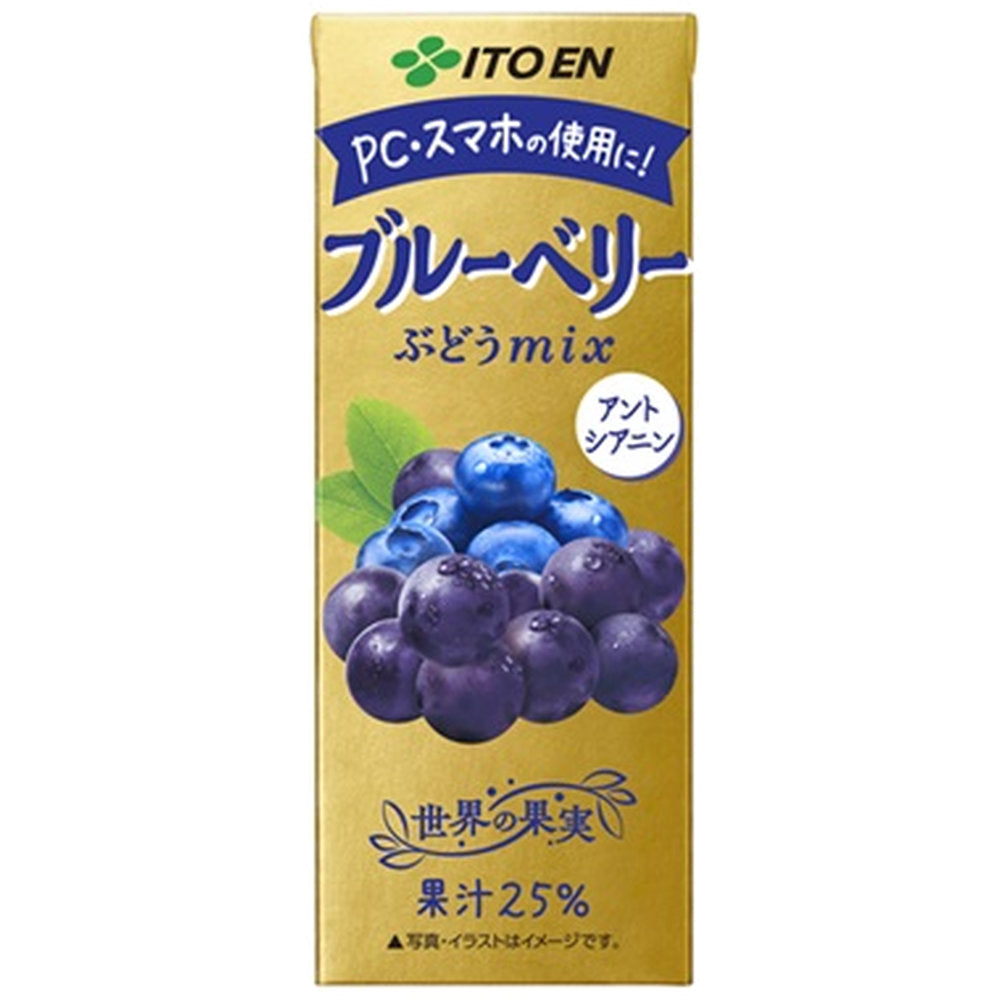 伊藤園ブルーベリーぶどうmix紙パック200ml×24本×2ケース(48本)