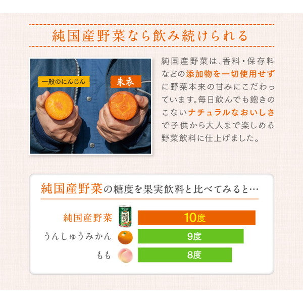 健康体 純国産野菜 (野菜350g分使用)【60本(2ケース)】