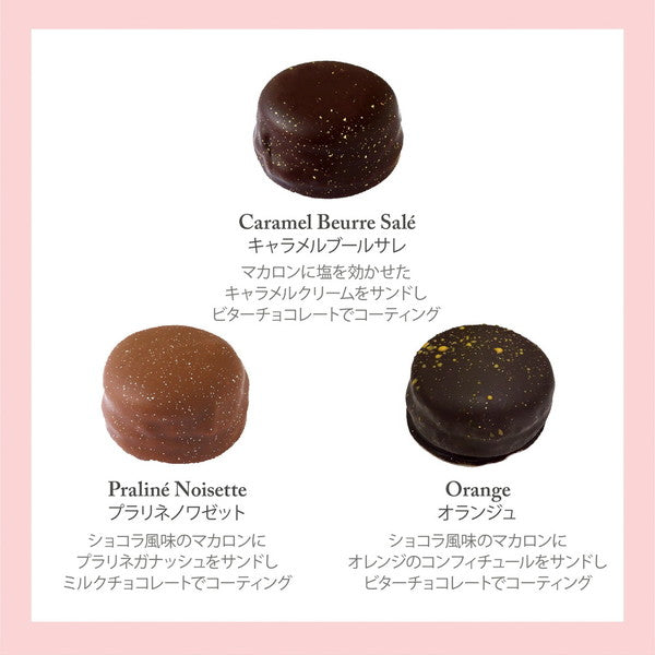 セバスチャン・ブイエ　マカリヨン6個