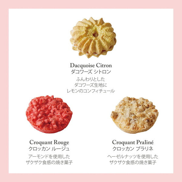 セバスチャン・ブイエ　アソートバリエM