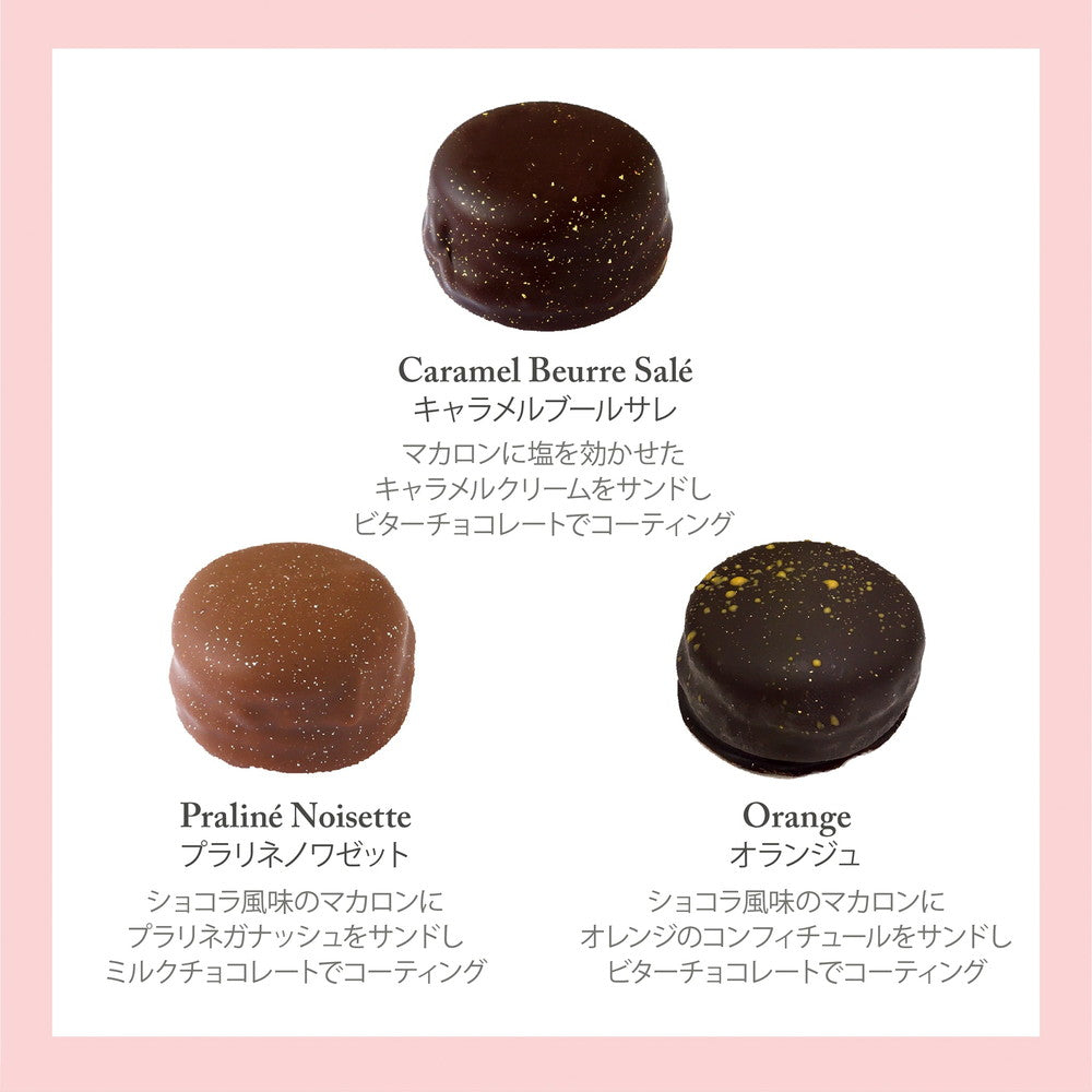 【ギフトカード】セバスチャン・ブイエ マカリヨン 6個