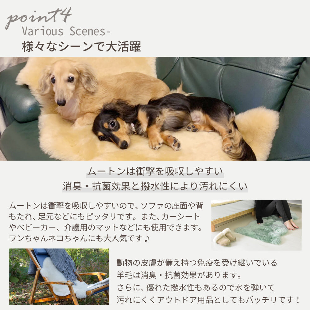 洗える 短毛 ムートンラグ 1匹サイズ アイボリー