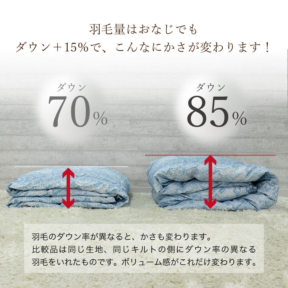ハンガリー産ホワイトダックダウン85％ 羽毛肌掛け布団 セミダブル ブルー