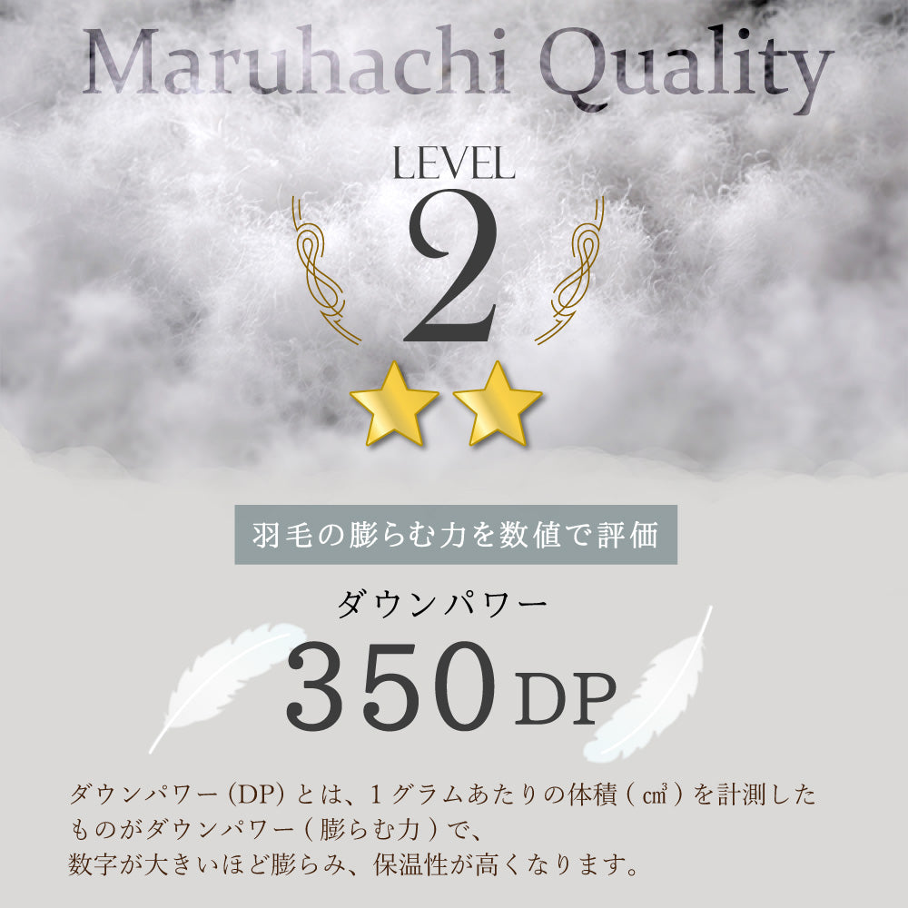 ハンガリー産ホワイトダックダウン85％ 羽毛肌掛け布団 ダブル ブルー
