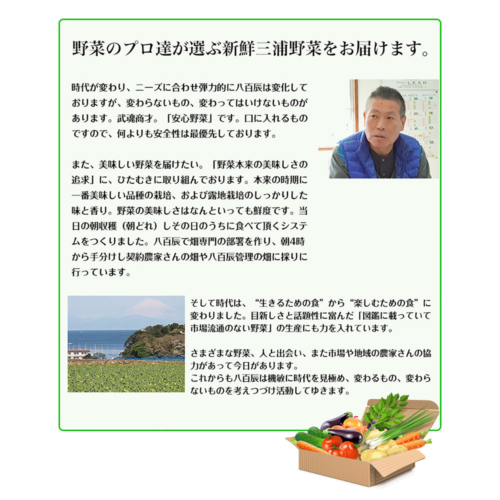 「SECRET MALL厳選」三浦野菜セット恵土【4種類前後】