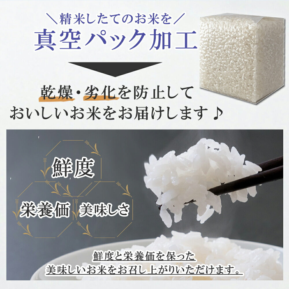 五つ星マイスター厳選・新潟こしひかり味わいギフト（6合）