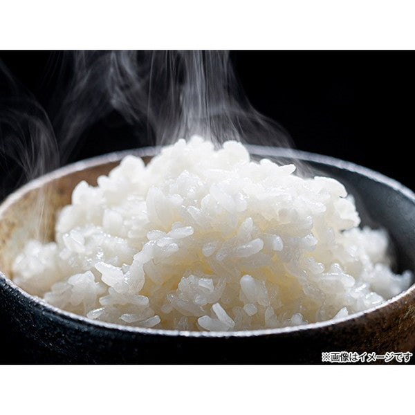 愛媛県西条市産水の都米20kg（5kg×4袋）