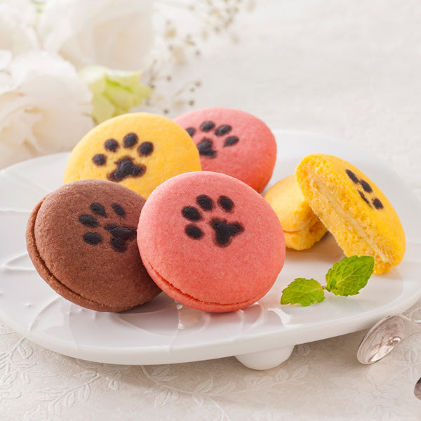 【父の日ギフト】イーペルの猫祭り  サンドクッキー