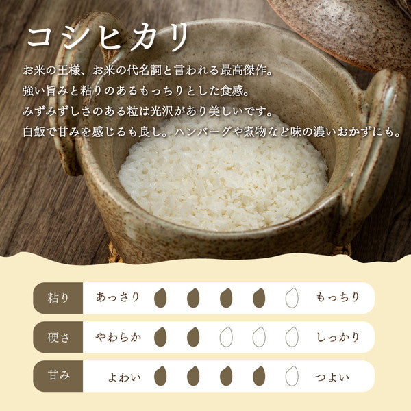 無洗米 新潟県産コシヒカリ 2kg×3個（合計6kg）