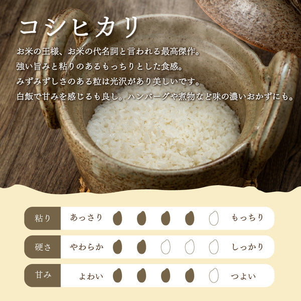 無洗米 福島県会津産コシヒカリ 5kg×3袋（合計15kg）