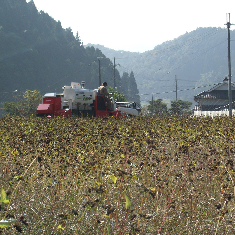 京蕎麦　丹波ノ霧　そば素麺セットA【計6人前】