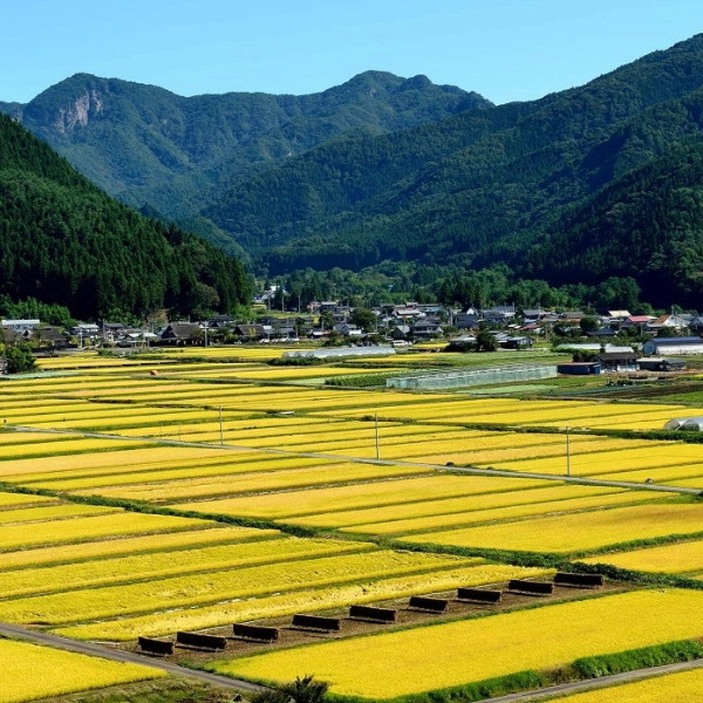 【ギフトカード】KAWABA(カワバ)川場ビール飲み比べ 2種4本(ヴァイツェン・エール各2本)