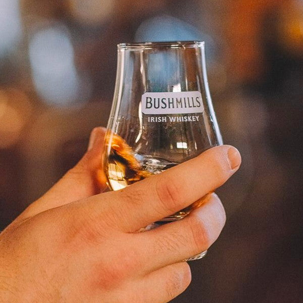 アイリッシュウイスキー BUSHMILLS(ブッシュミルズ)10年 700ml 2本