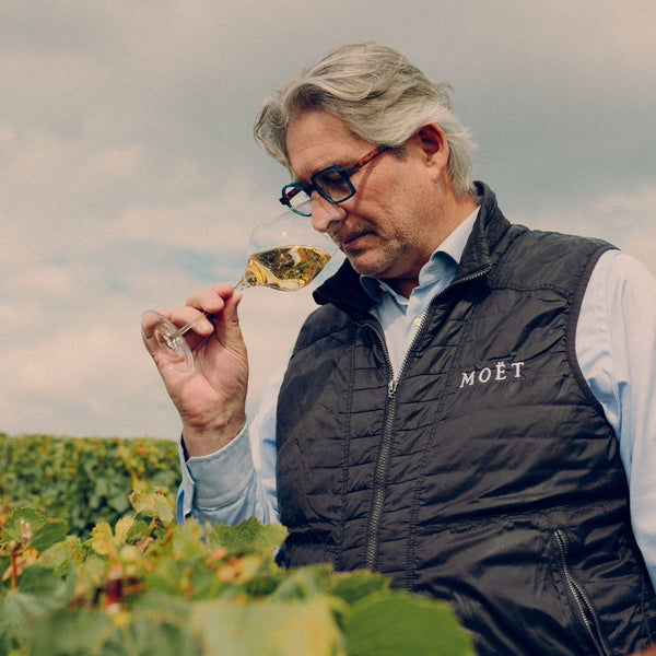 モエ・エ・シャンドン グラン ヴィンテージ ロゼ 2016 箱入 750ml　2本