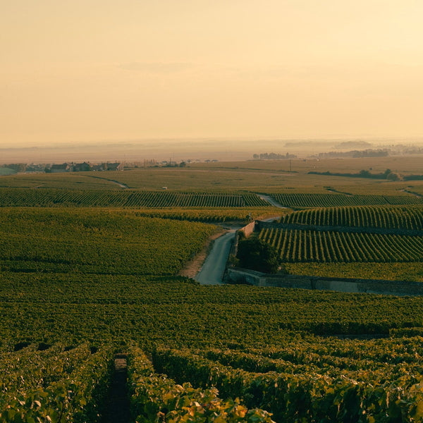 ヴーヴクリコ ブリュット ヴィンテージ 2015 750ml×6本