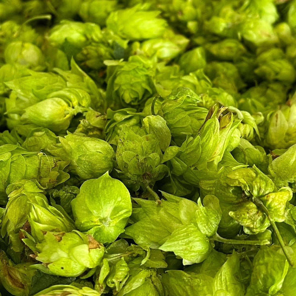 【ギフトカード】多摩川源流生まれのクラフトビール　ファーイーストIPA 350ml　24本