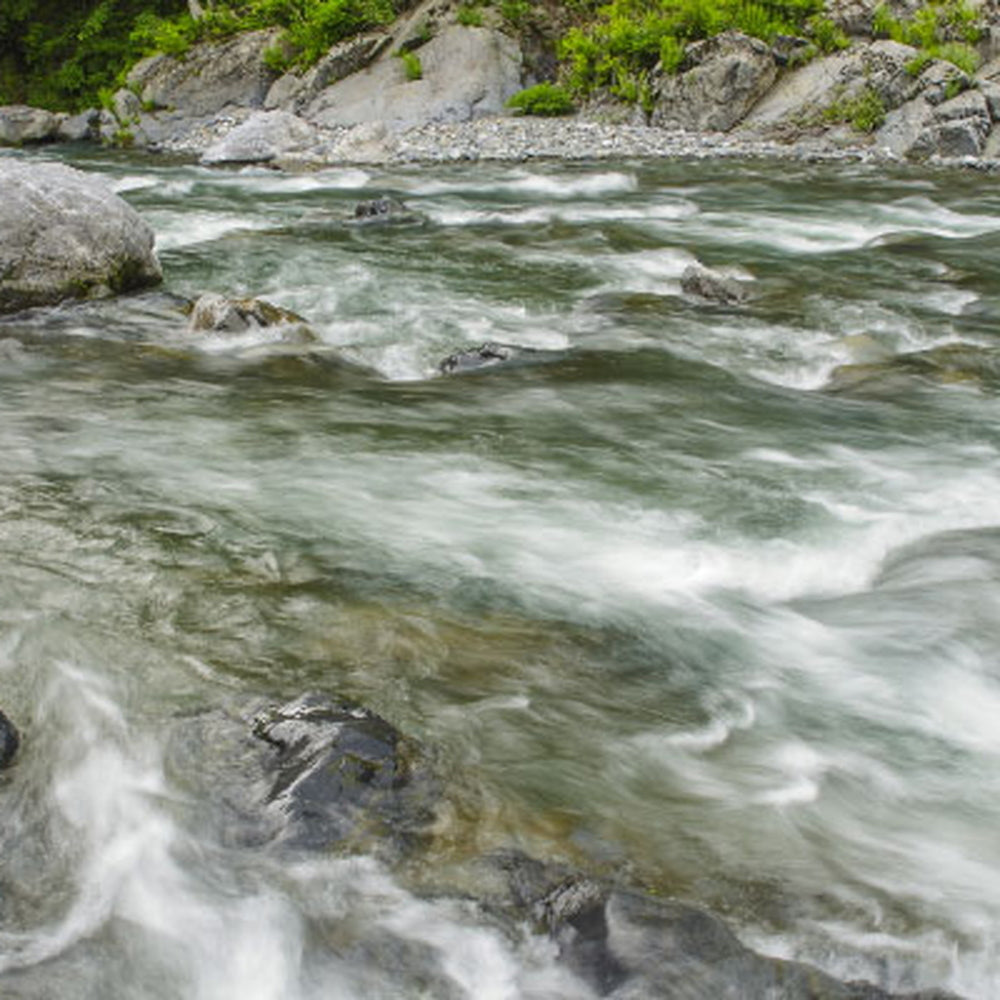 【ギフトカード】多摩川源流生まれのクラフトビール　ファーイースト ブロンド 350ml 24本