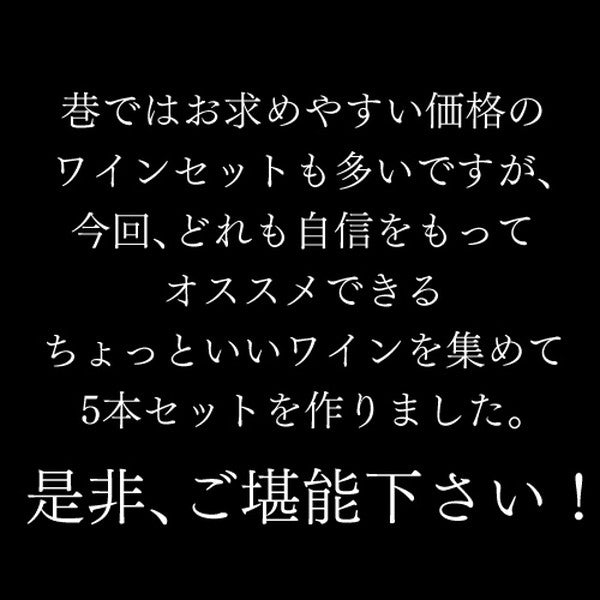 自信を持ってオススメするワイン上級者も満足！赤5本セット【常温便】