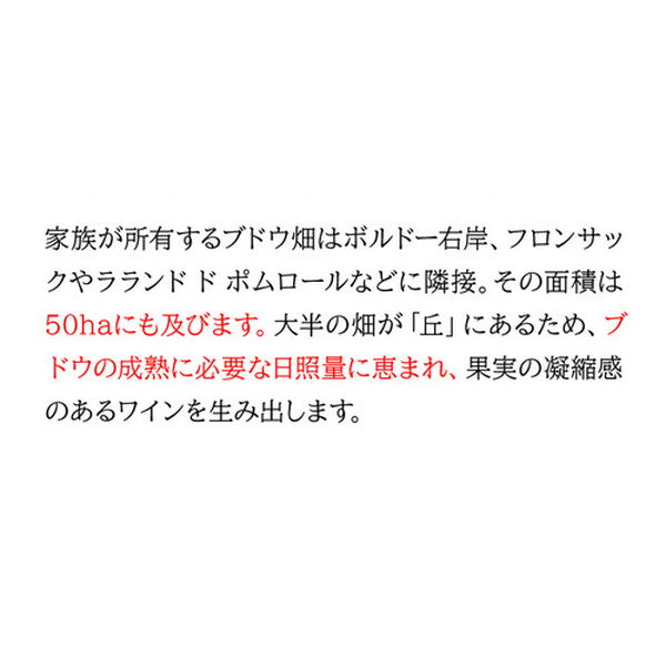 グラン ベロ ボルドー 赤 白 ＆スパークリングワイン4本セット【常温便】