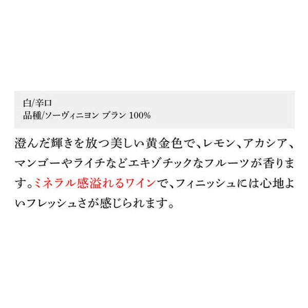 グラン ベロ ボルドー 赤 白 ＆スパークリングワイン4本セット【常温便】