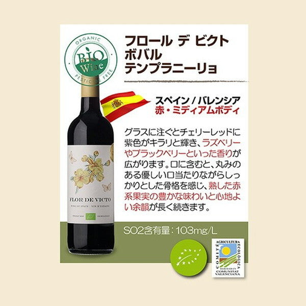 オーガニックワイン 10本セット【常温便】