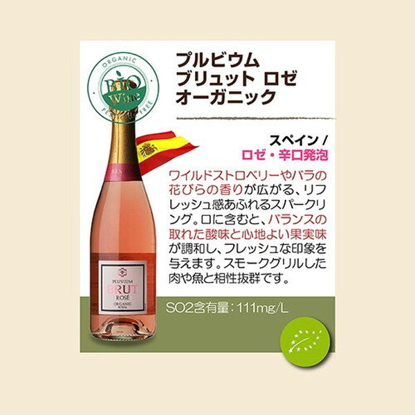 オーガニックワイン 10本セット【クール便】