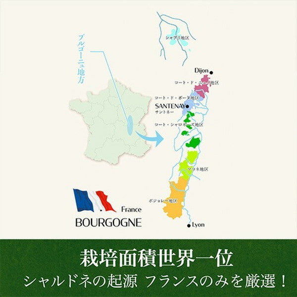 フランス産シャルドネ5本セット【クール便】