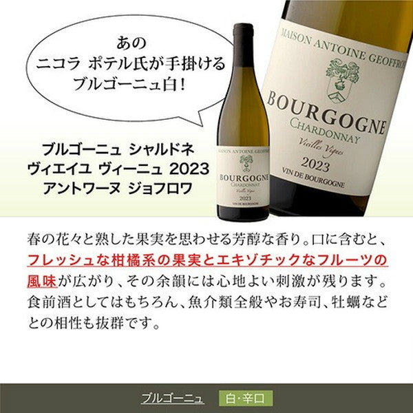 フランス産シャルドネ5本セット【クール便】