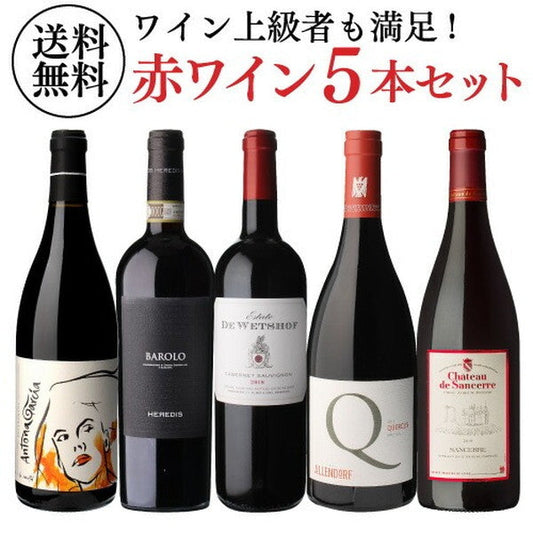 自信を持ってオススメするワイン上級者も満足！赤5本セット【常温便】