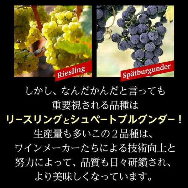 ドイツワイン5本セット【常温便】