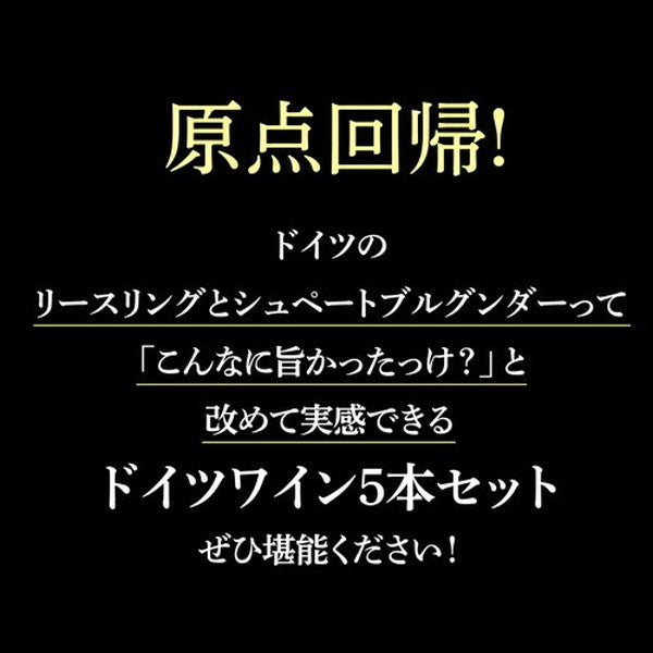ドイツワイン5本セット【常温便】