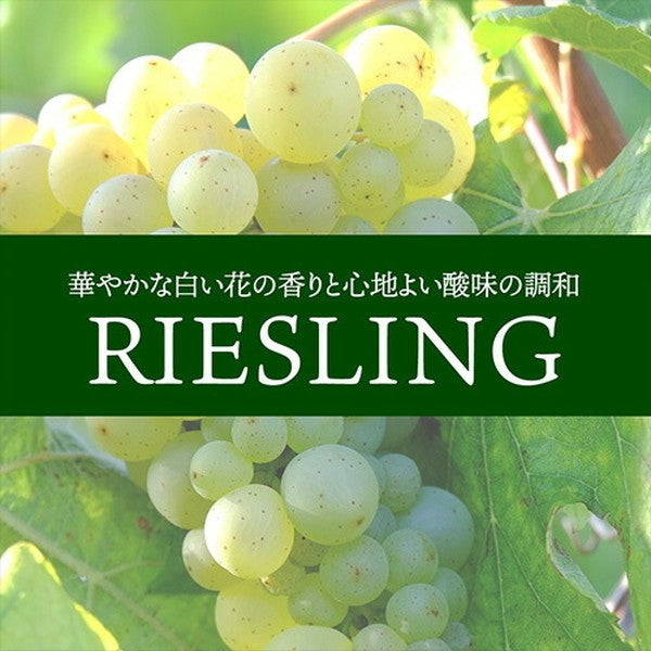 リースリング 4本セット【常温便】