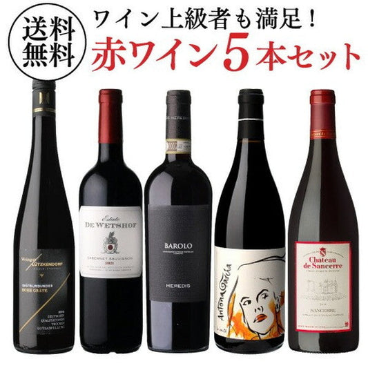 自信を持っておすすめする ワイン上級者も満足！赤ワイン5本セット【常温便】