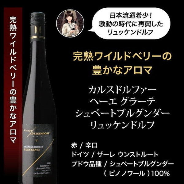 自信を持っておすすめする ワイン上級者も満足！赤ワイン5本セット【クール便】