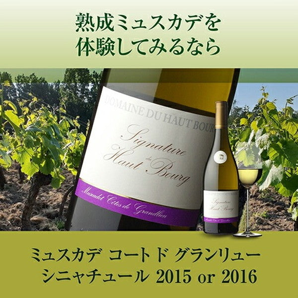 熟成ミュスカデ オー ブール 3本セット【常温便】