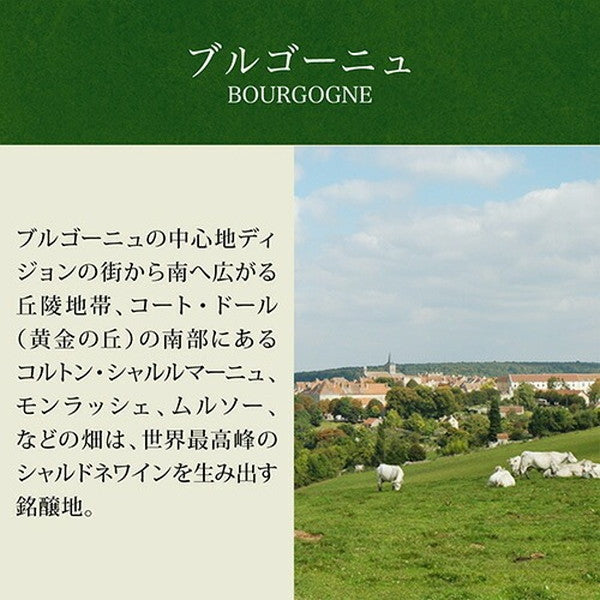 フランス ブルゴーニュ シャルドネ5本セット【常温便】