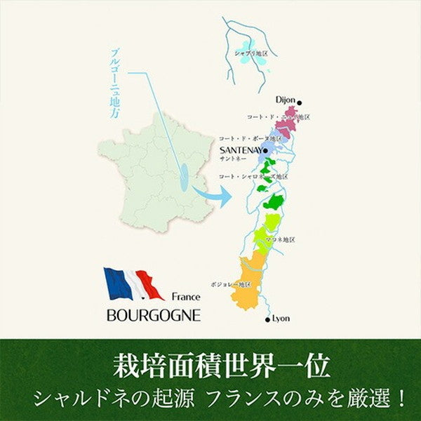 フランス ブルゴーニュ シャルドネ5本セット【クール便】