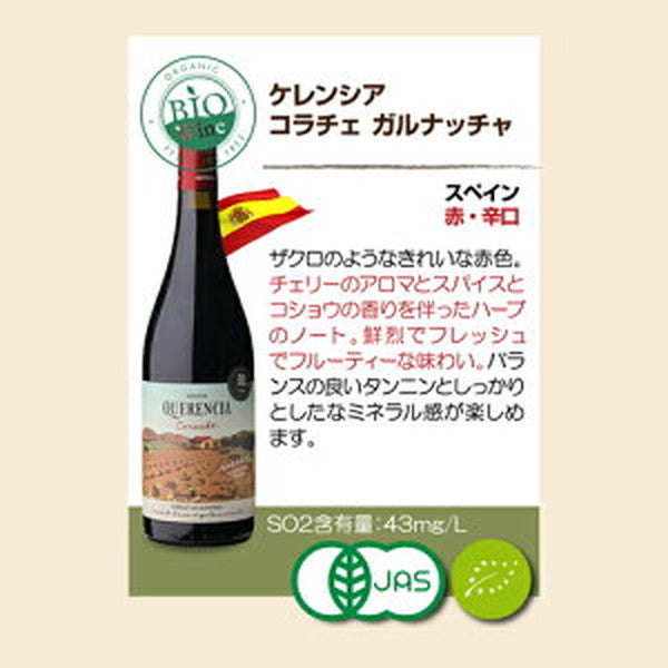 ビオワイン 10本セット【常温便】