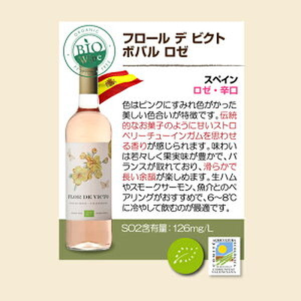 ビオワイン 10本セット【常温便】