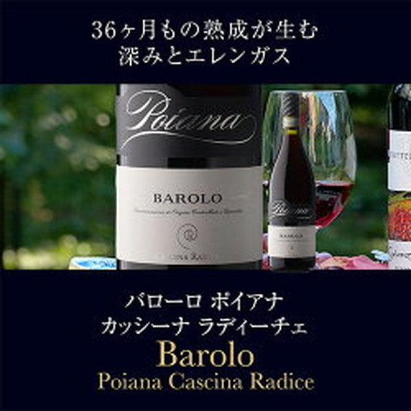 バローロ＆バルバレスコ5本セット【クール便】