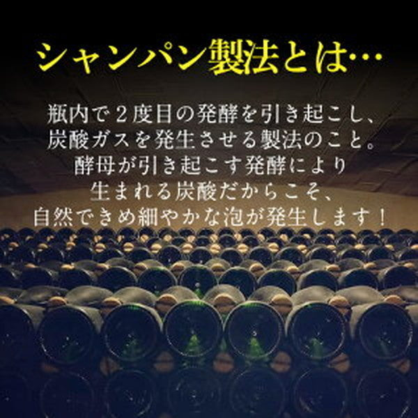 シャンパン製法 辛口泡6本セット【クール便】