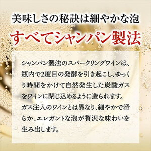 フランスシャンパン製法6本セット【クール便】